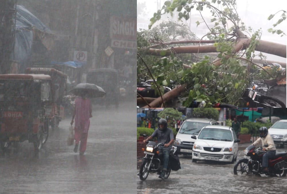 Storm and Monsoon first rainfall in dehradun waterlogged and tree fall on road