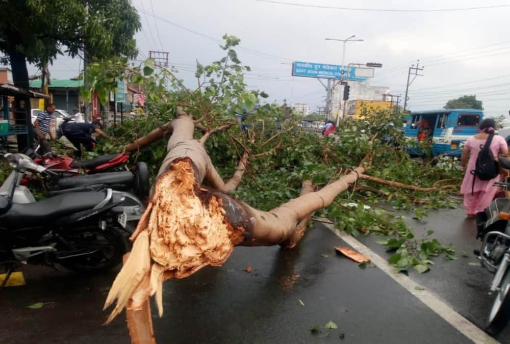 Storm and Monsoon first rainfall in dehradun waterlogged and tree fall on road