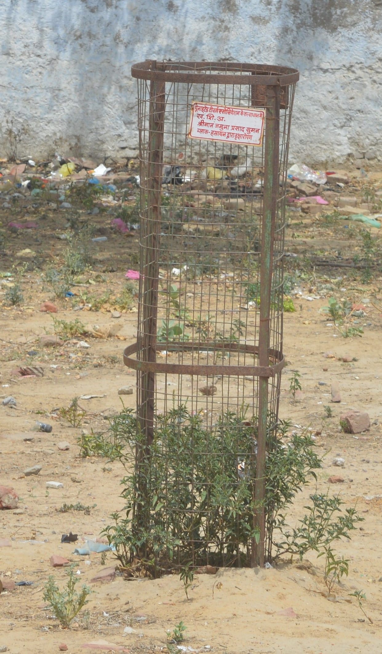 Hareyali's Alkh, Manega Van Mahotsav in Jaggaa district from today