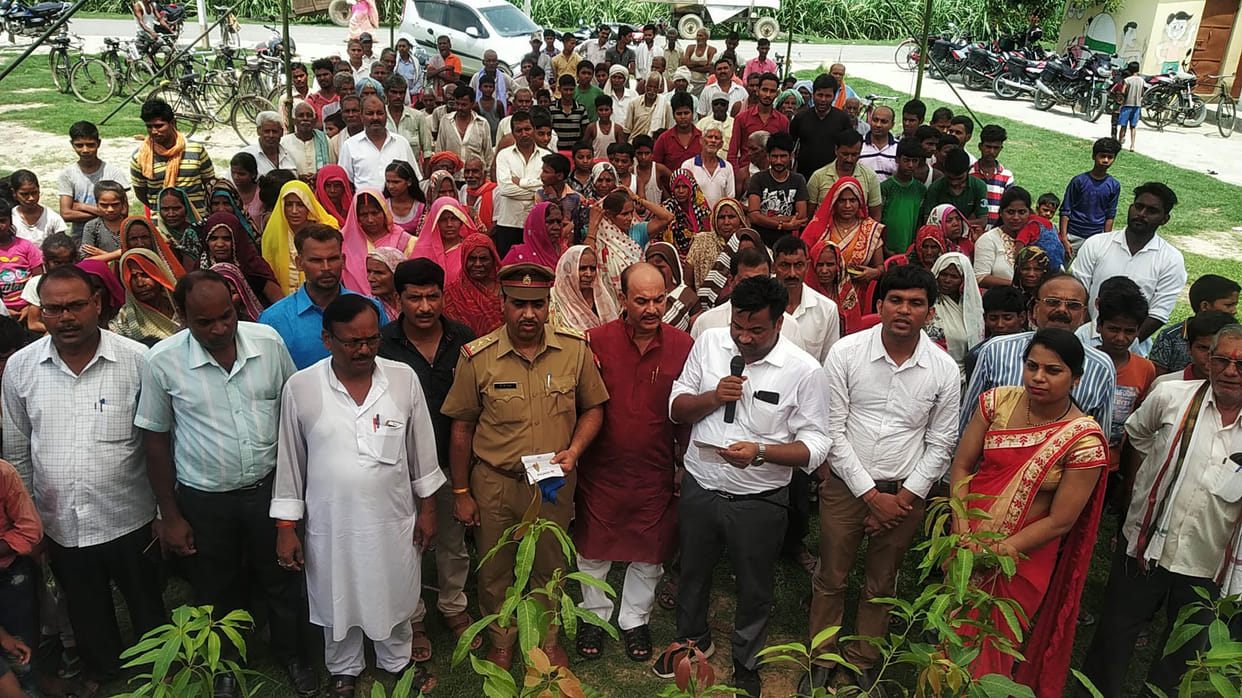 plantation will save environment