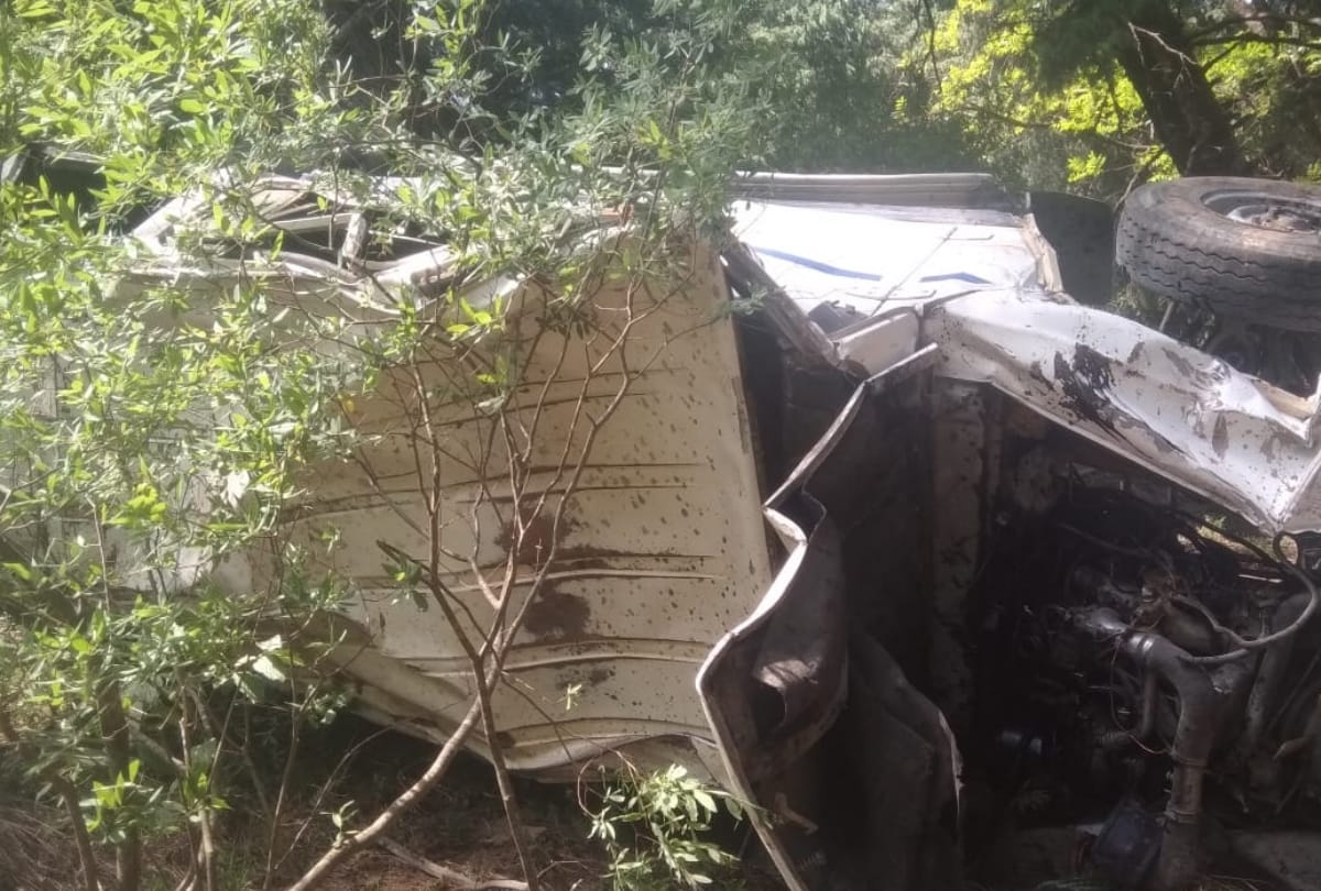 school student vehicle falls into gorge near prashar mandi himachal pradesh