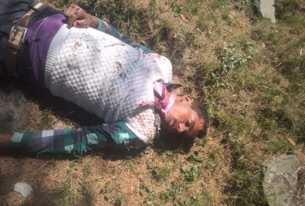 school student vehicle falls into gorge near prashar mandi himachal pradesh