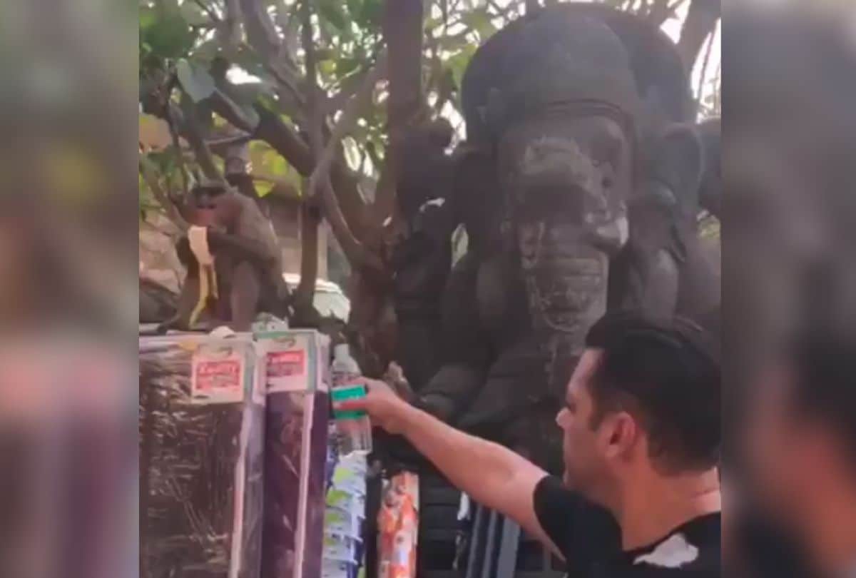 salman khan is winning hearts for feeding water to monkey fans says great human being