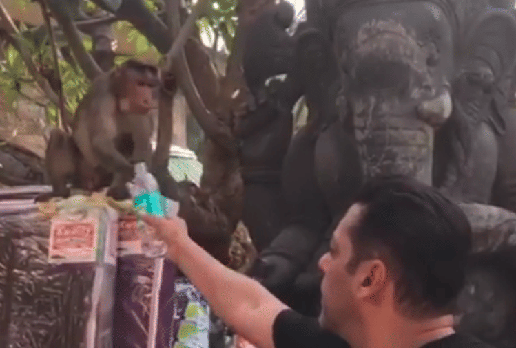 salman khan offered water to monkey in a bottle