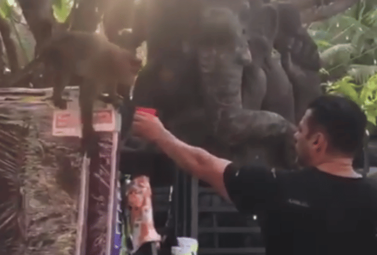 salman khan offered water to monkey in a bottle