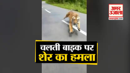 lion attcked on bike, elepahnts attacked on cars and salman khan video