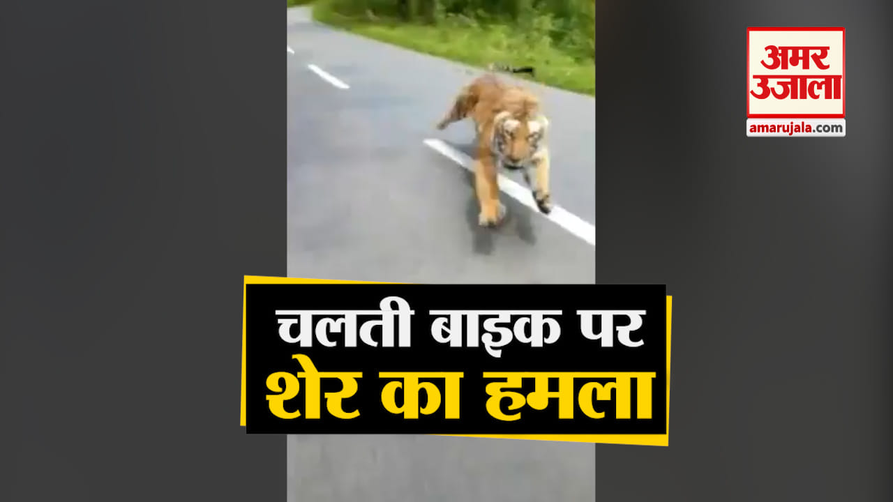 डिजाइन पिक्चर