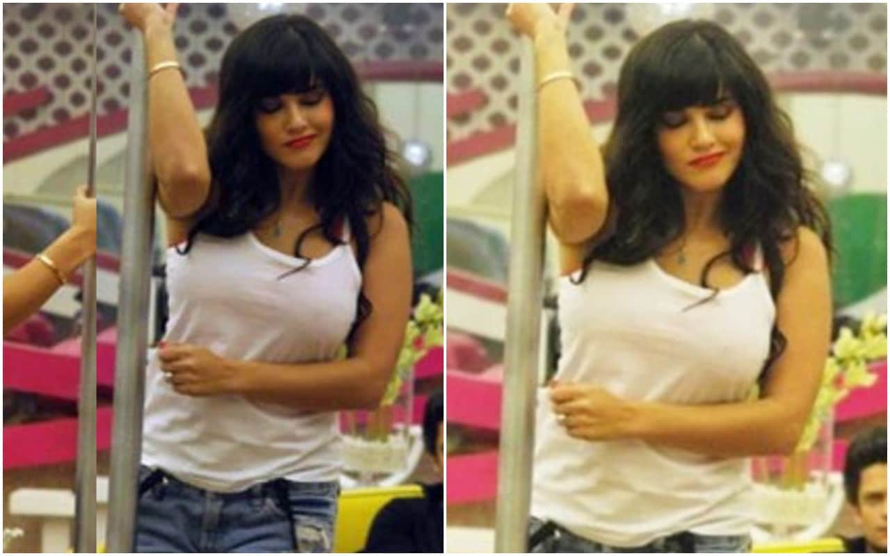 Malaika Arora to zarine khan 4 Actresses Who trained in pole dance