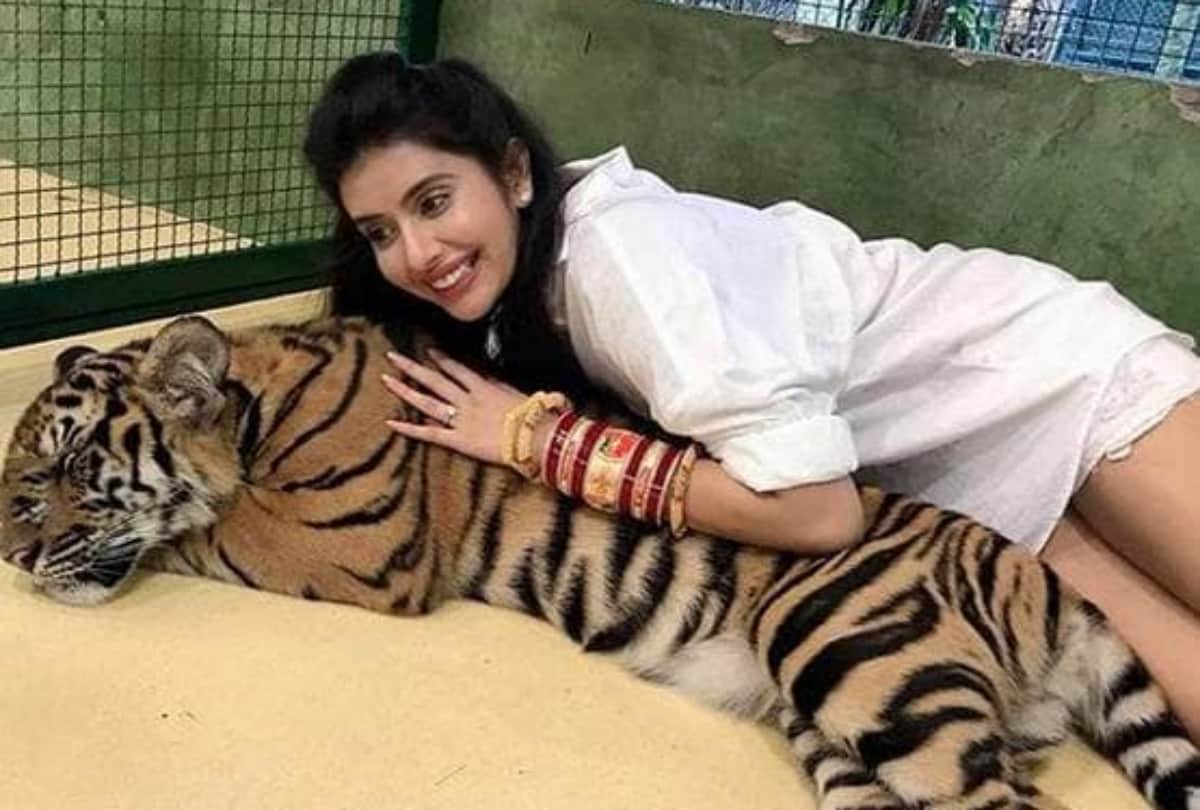 rajeev sen and charu asopa getting trolled when share pictures with tiger