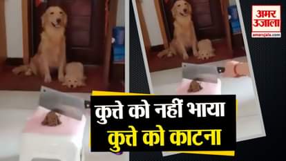 most viral videos 1st july 2019