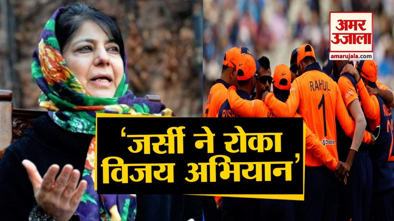 क्रिकेट