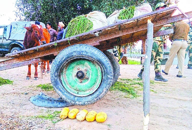 unique ways of drugs smuggling used by pakistani smugglers