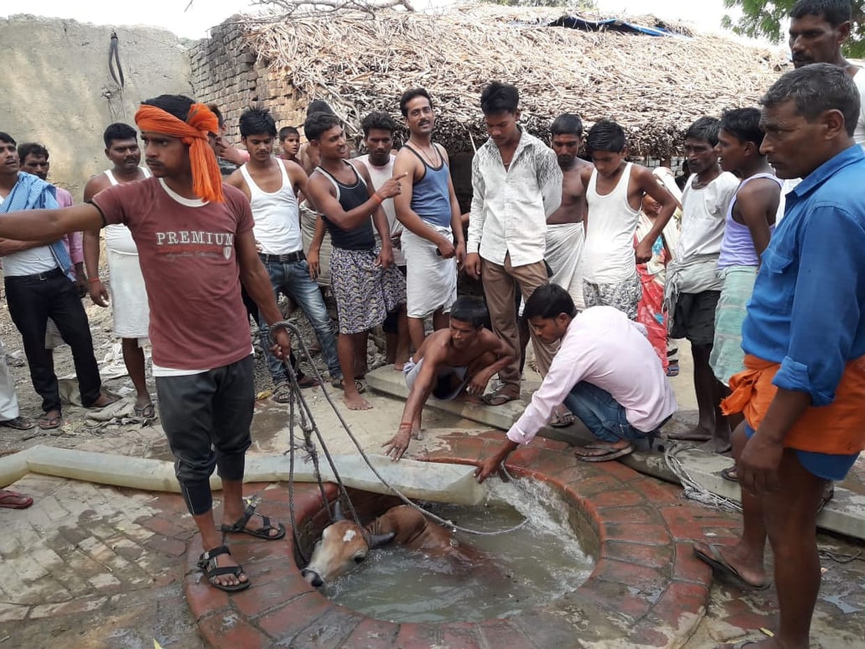 Fill the water in the well and pull out the bull
