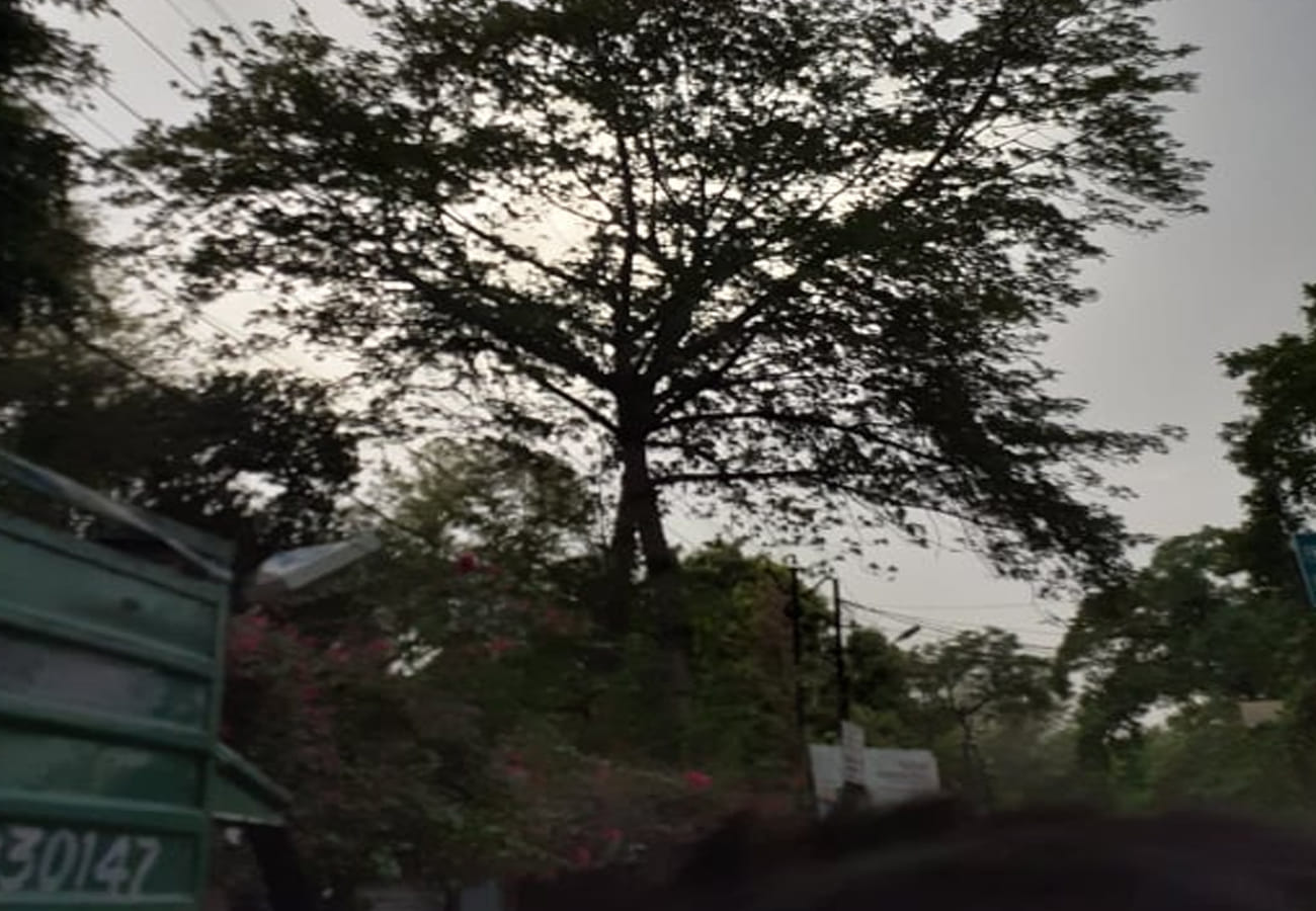 Weather Report Today: Weather department prediction of monsoon in up