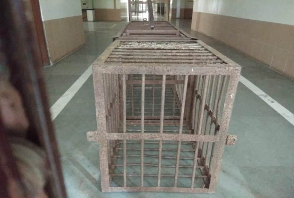 Leopard  stuck in medical college from two days in uttarakhand