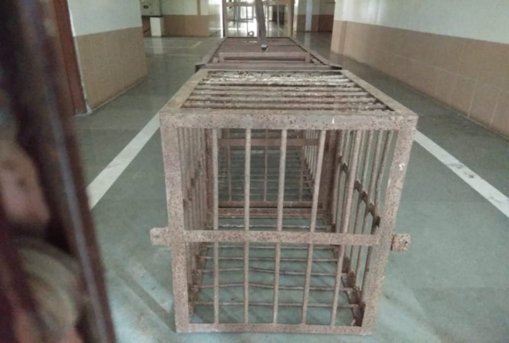Leopard  stuck in medical college from two days in uttarakhand