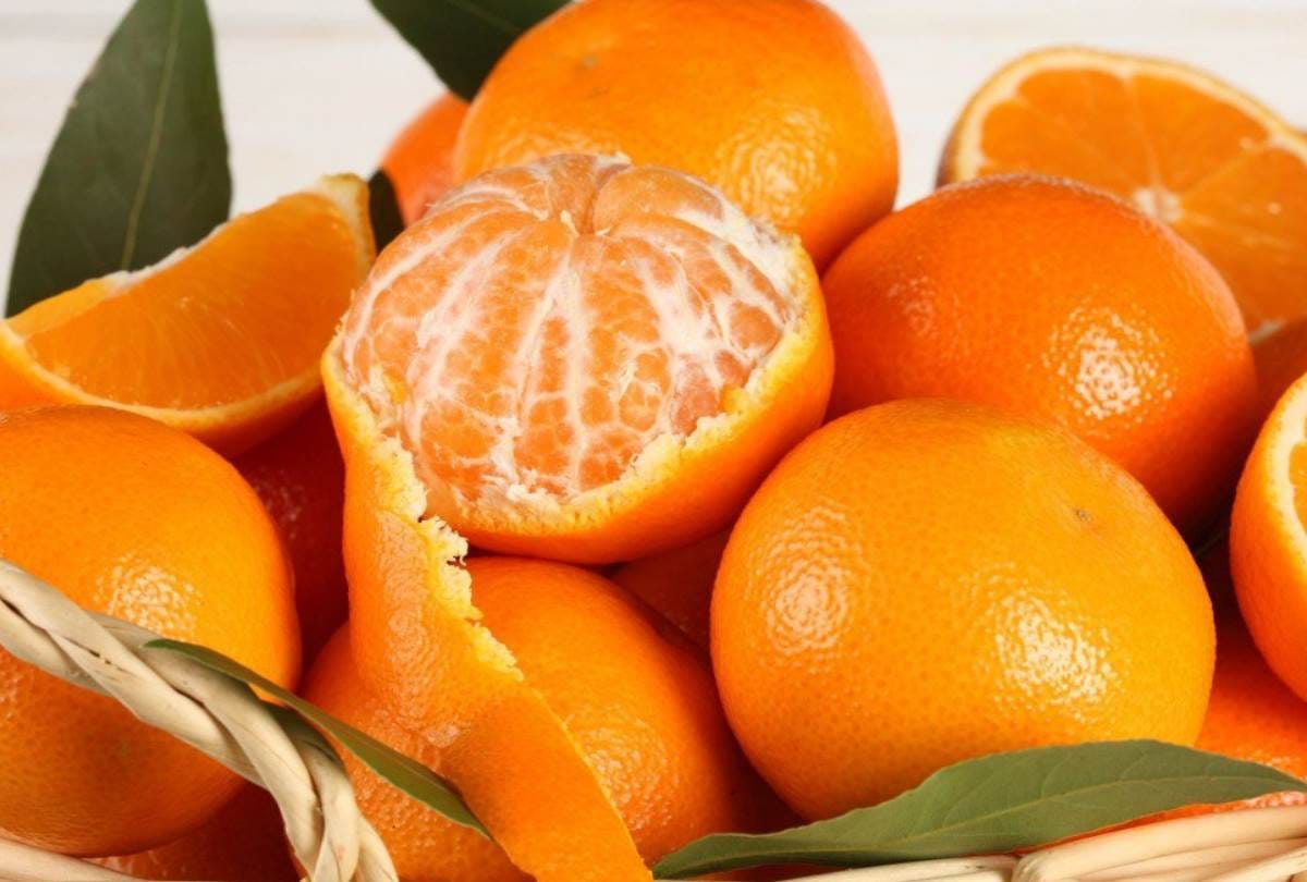 vitamin c in orange and its benefits know Oranges Nutrients and Benefits in hindi