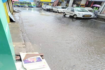 trees fallen due to storm and heavy rainfall in himachal