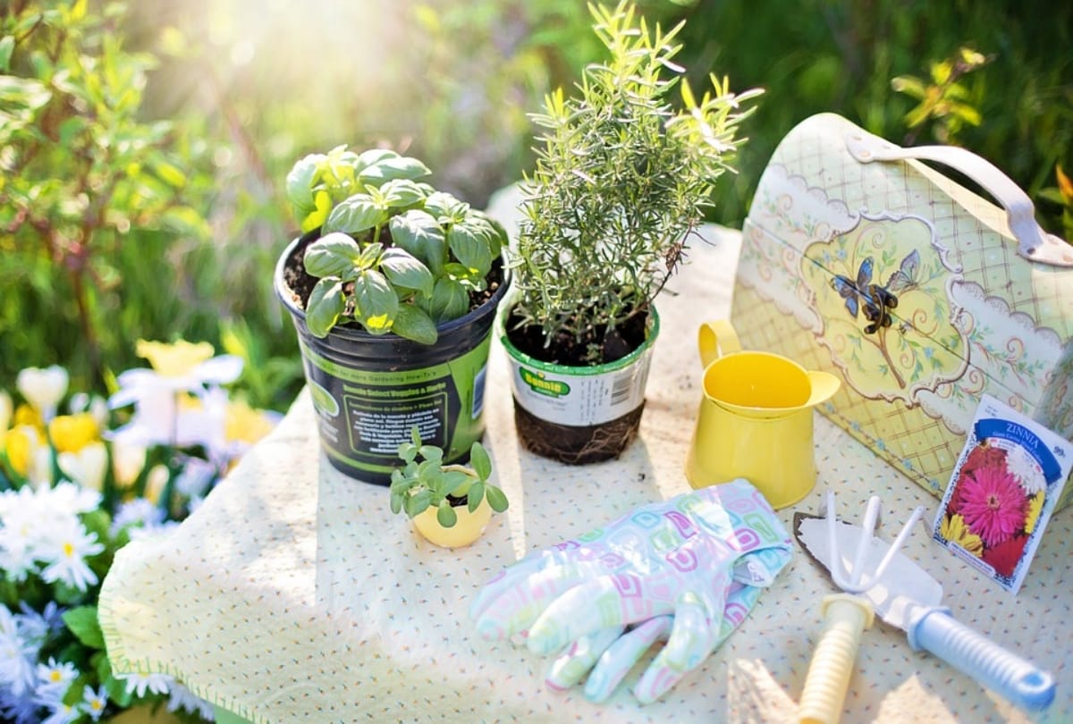 gardening take care of mental health and mindfulness