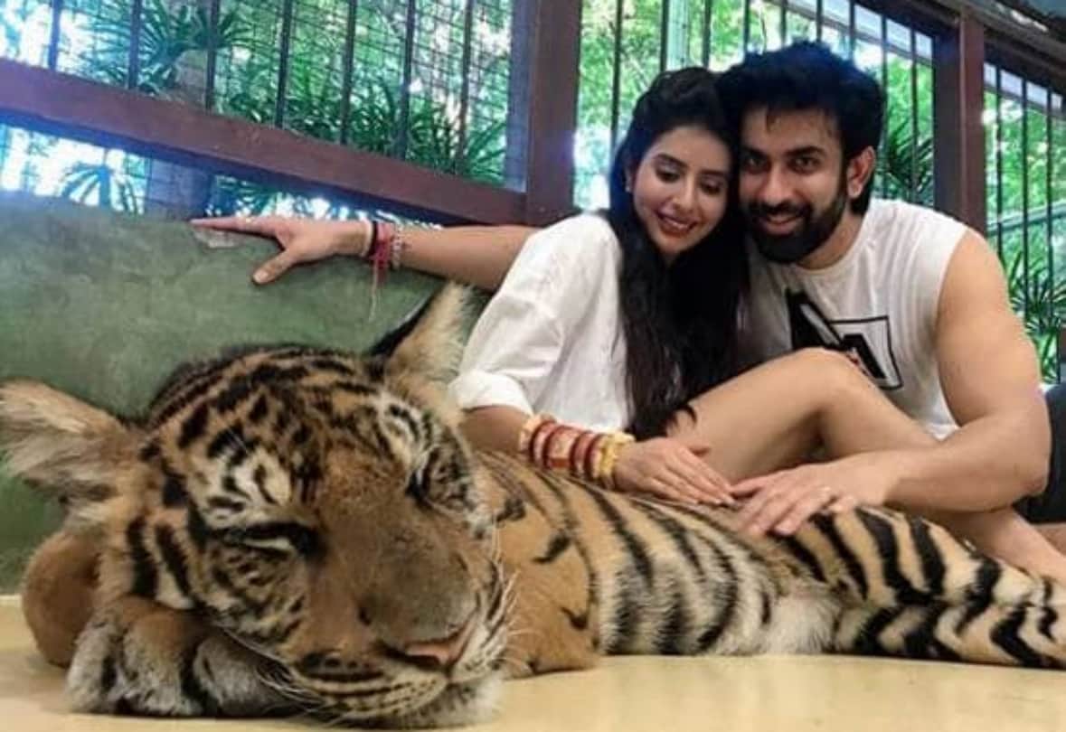 rajeev sen and charu asopa getting trolled when share pictures with tiger