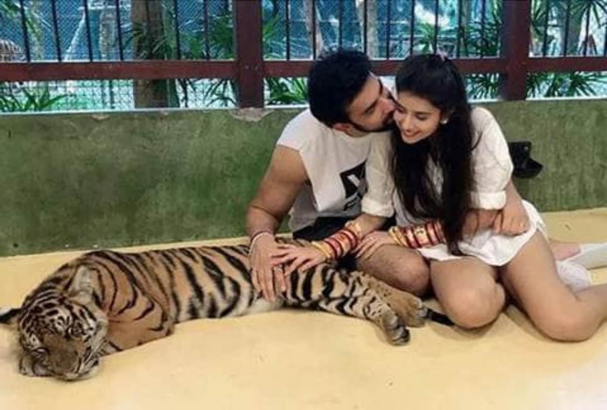 rajeev sen and charu asopa getting trolled when share pictures with tiger