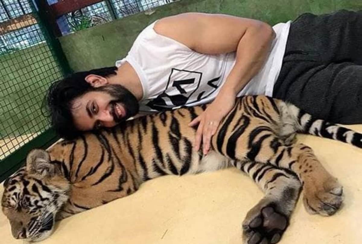rajeev sen and charu asopa getting trolled when share pictures with tiger