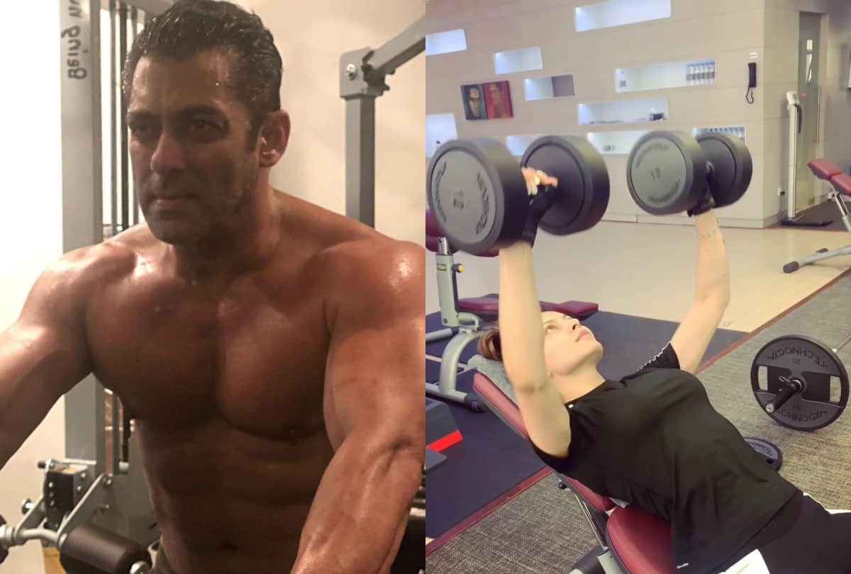 Salman Khan to Rakul Preet Singh these bollywood celebrities shared work out photo and video