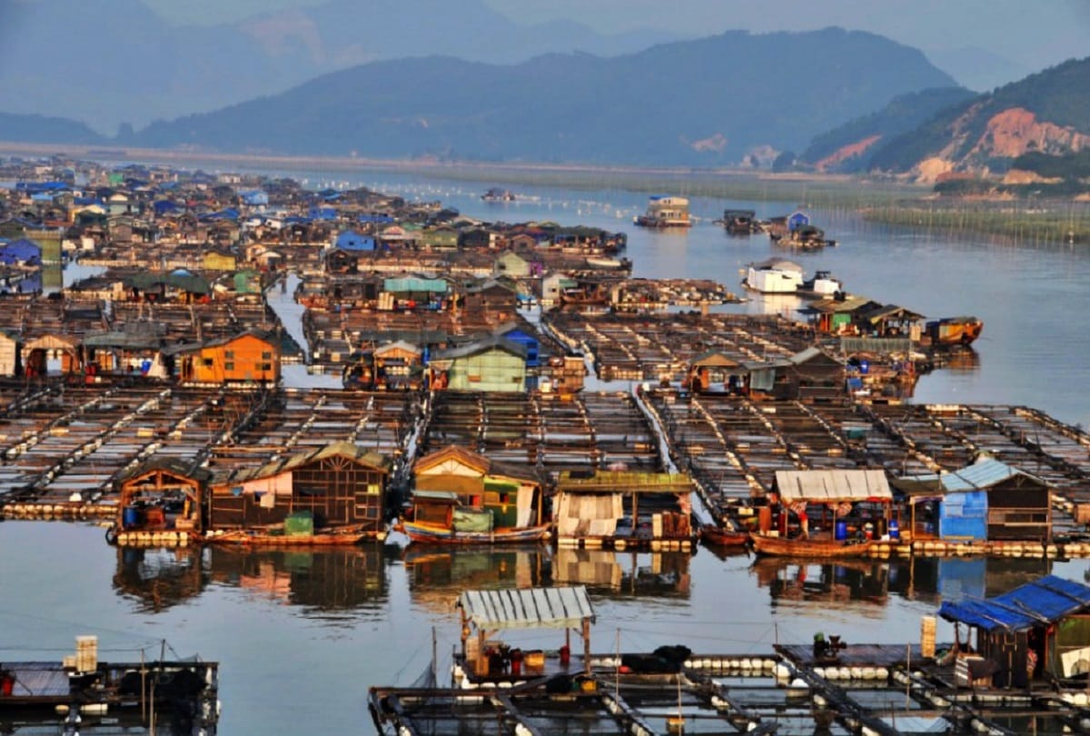 Tanka community of china lives on floating villege from thousands of years