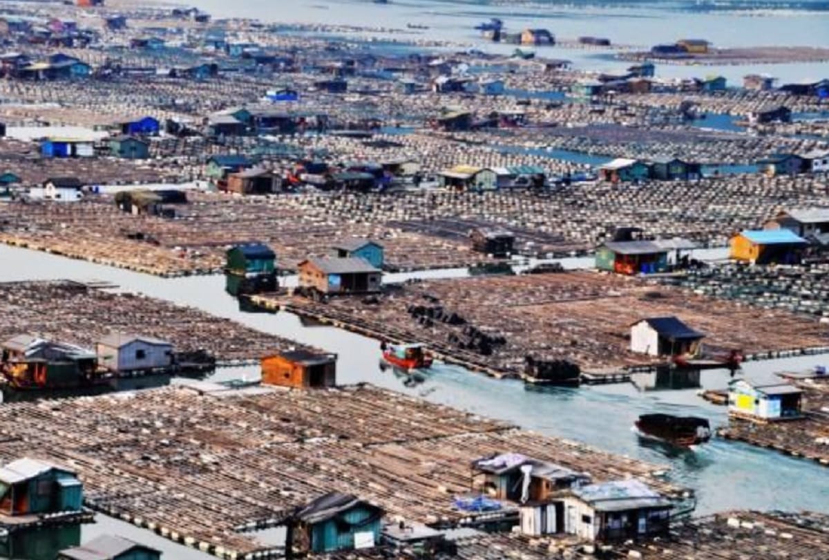 Tanka community of china lives on floating villege from thousands of years