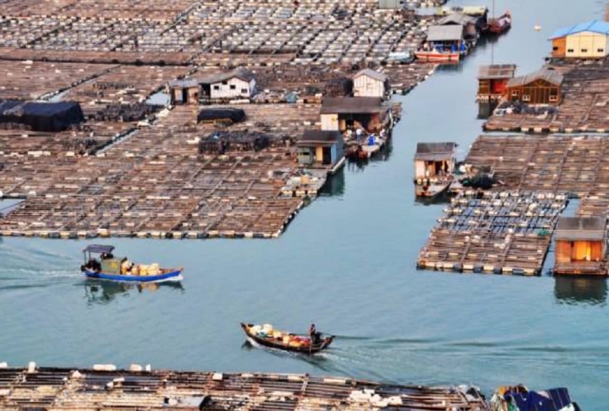 Tanka community of china lives on floating villege from thousands of years