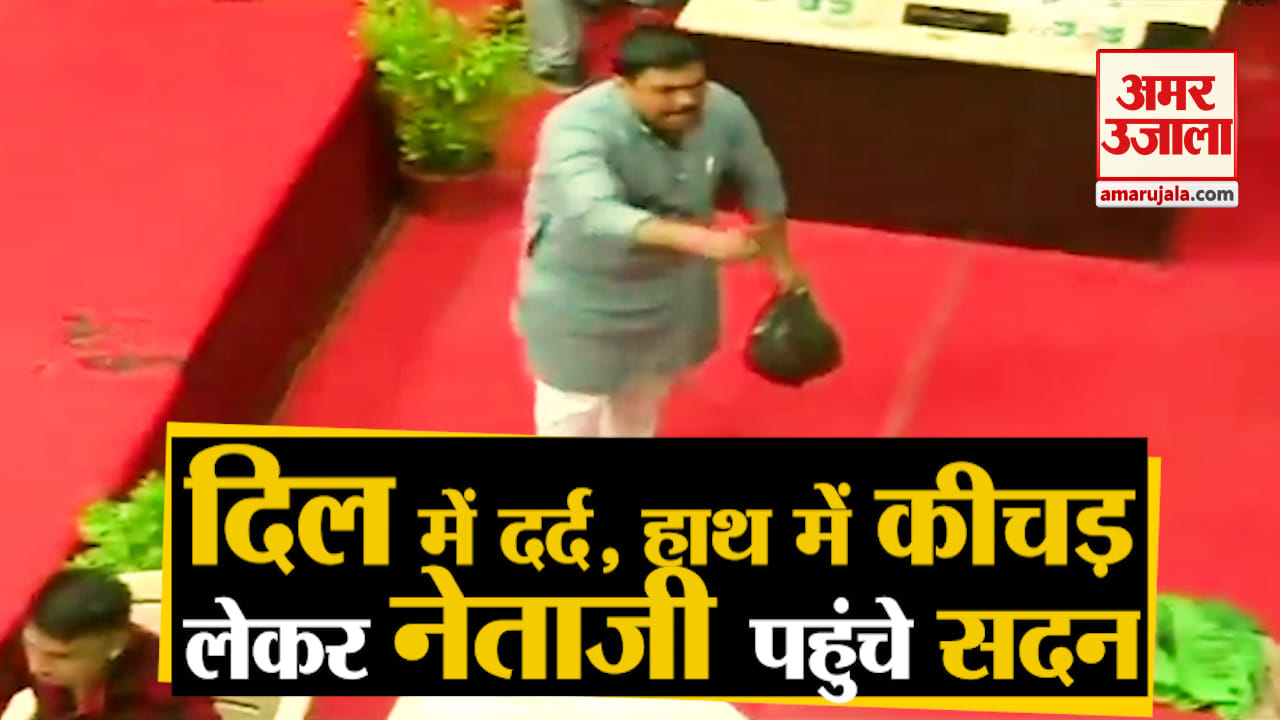 भाजपा