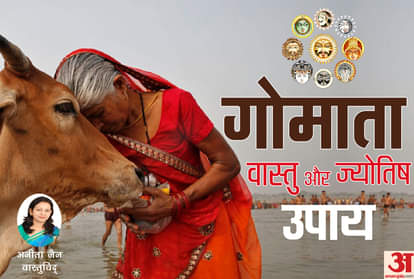 know cow related best astro and vastu tips for good luck