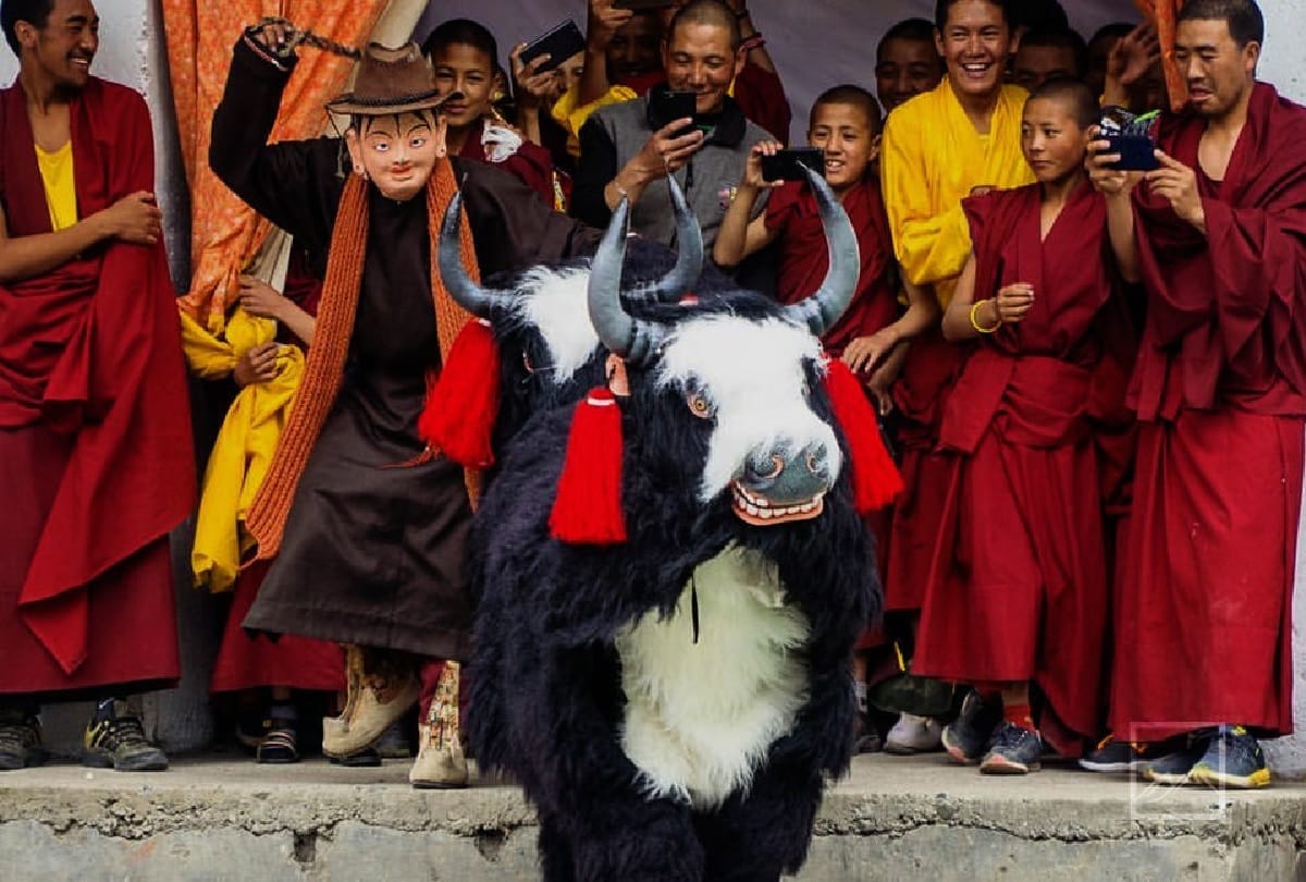 know about festival in laddakh shimla uttrakhand