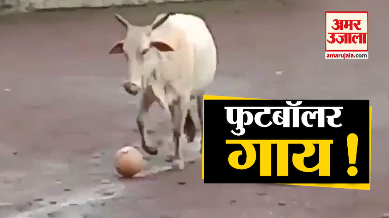 फुटबॉलर गाय