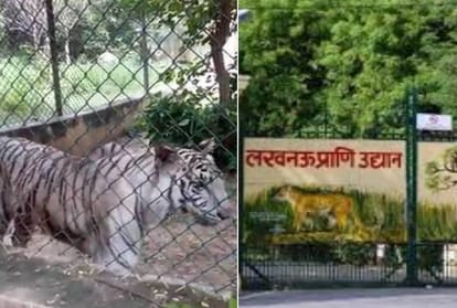पहली बार नवरात्र में अनूठा प्रयोग: जू में आज 12 वर्ष से कम उम्र की बच्चियों का प्रवेश निशुल्क Free entry in Lucknow Zoo on Ashtami of navratri.