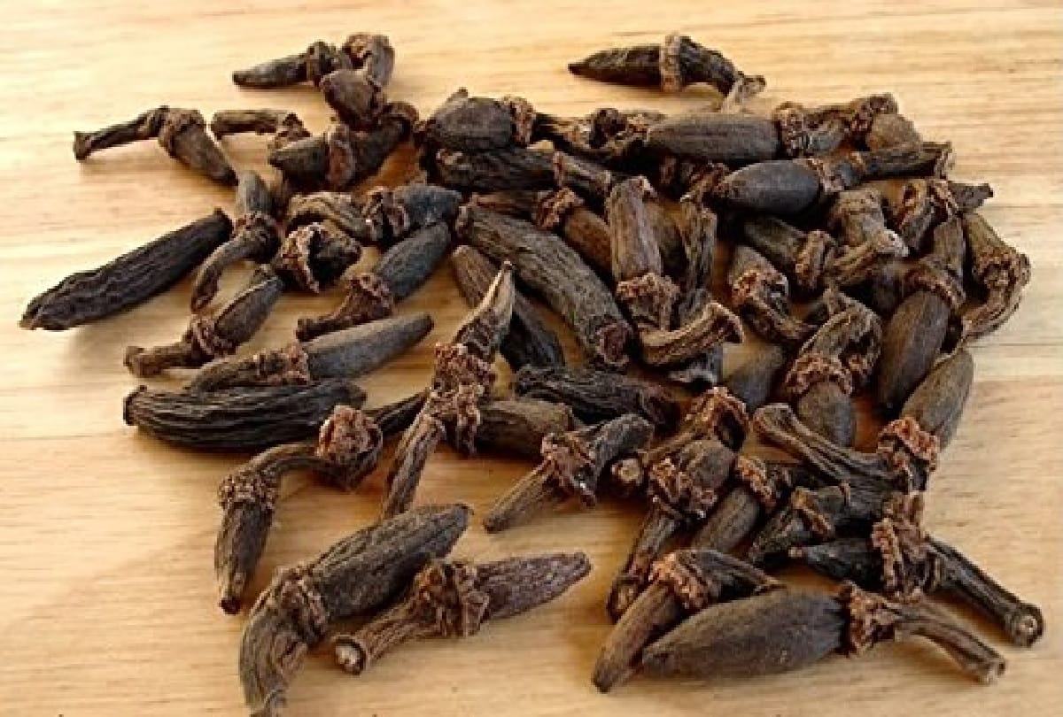 know about indian species in hindi