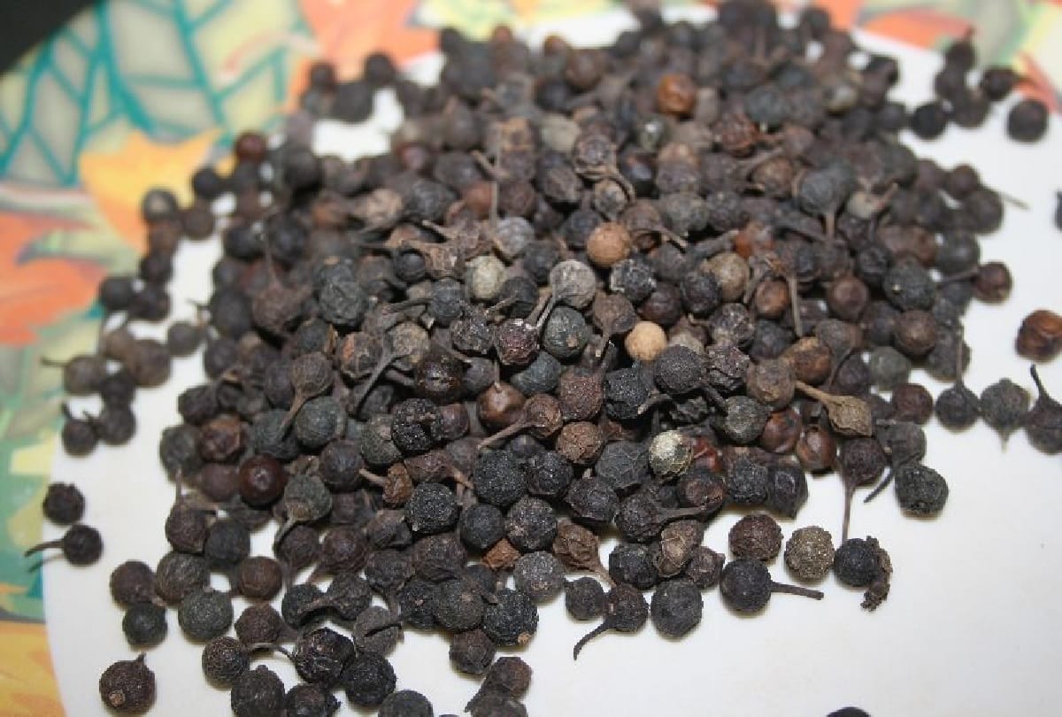 know about indian species in hindi