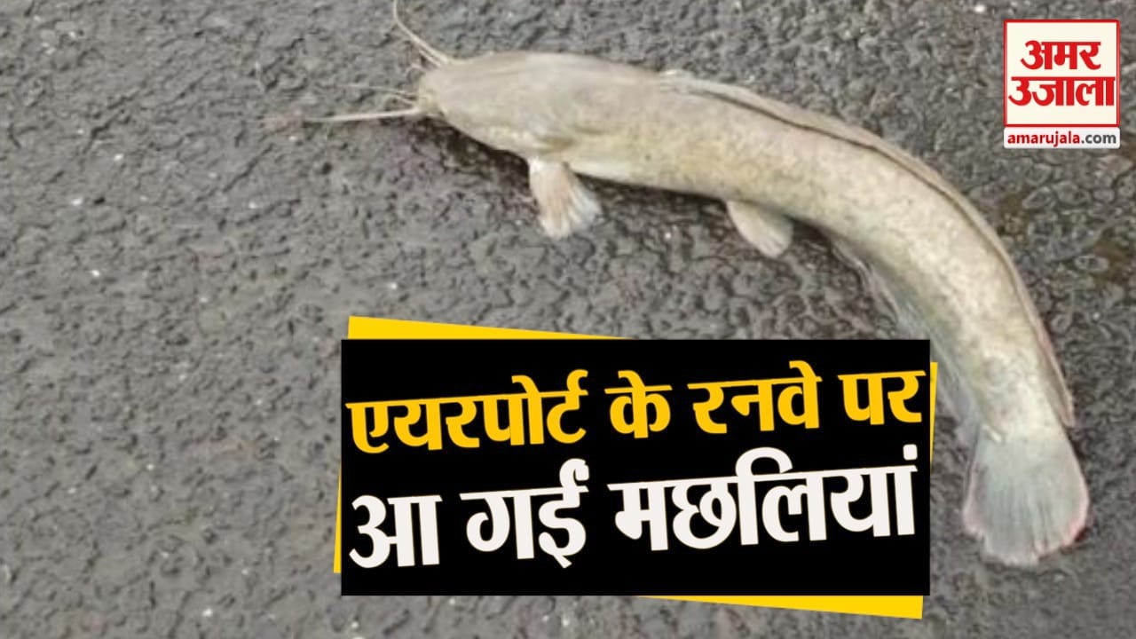 डिजाइन पिक्चर