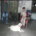 सागर पुलिस की देखभाल में कुत्ता
