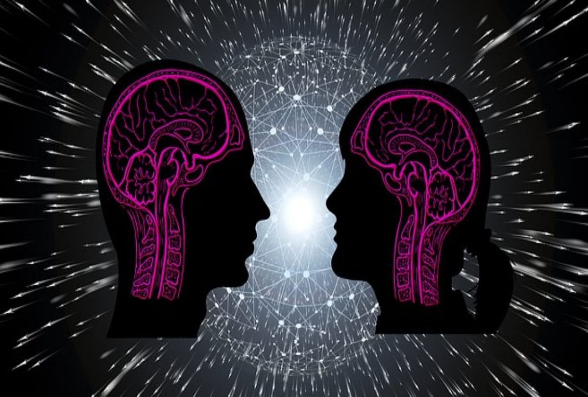 5 super food to keep your brain healthy and sharp