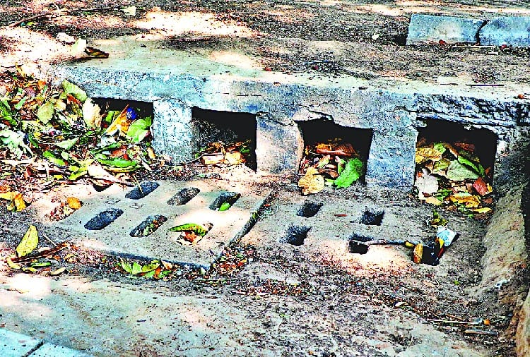 nagar nigam chandigarh not ready to sort out public problems during rain in monsoon