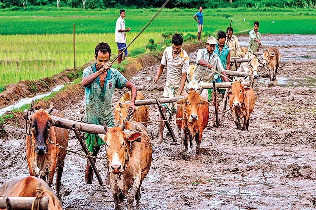 Budget 2019: agriculture sector is in the main focus of central government