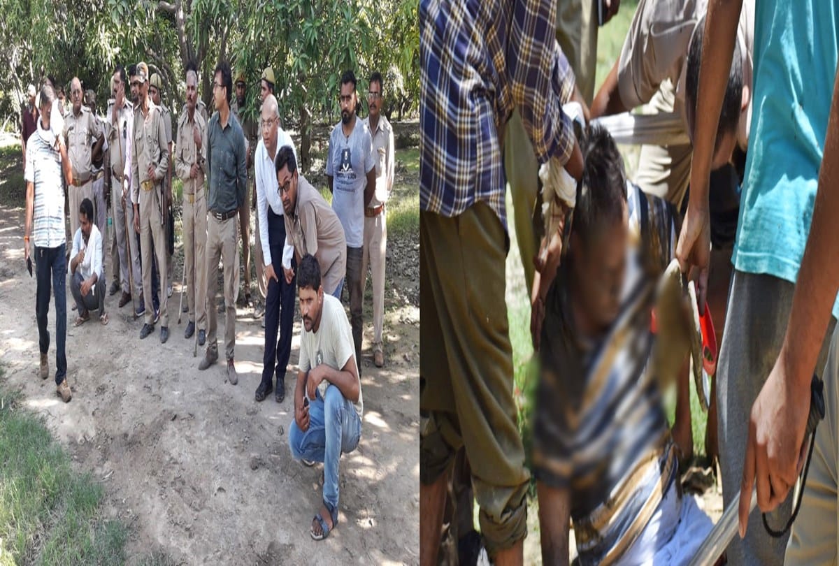 Elephant Murder forest officer in Bareilly UP