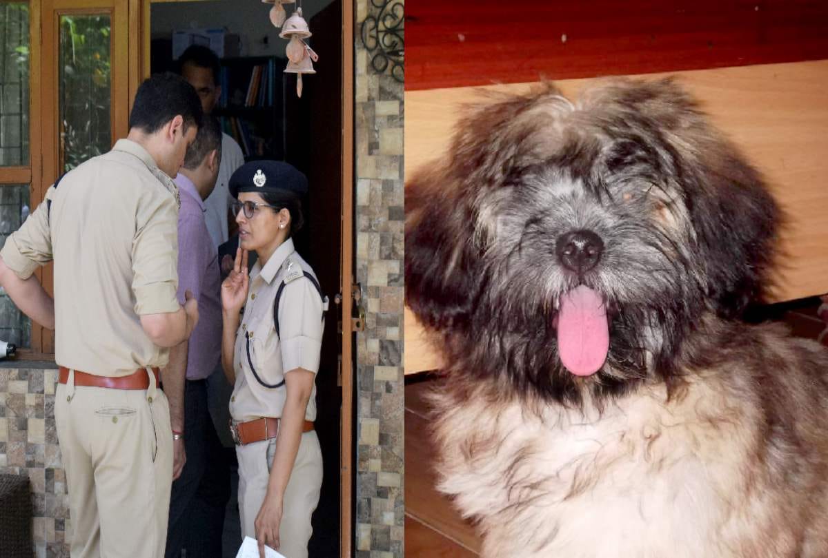 gurugram scientist murder wife son daughter in house 4 dogs each sit on their favorite housemate