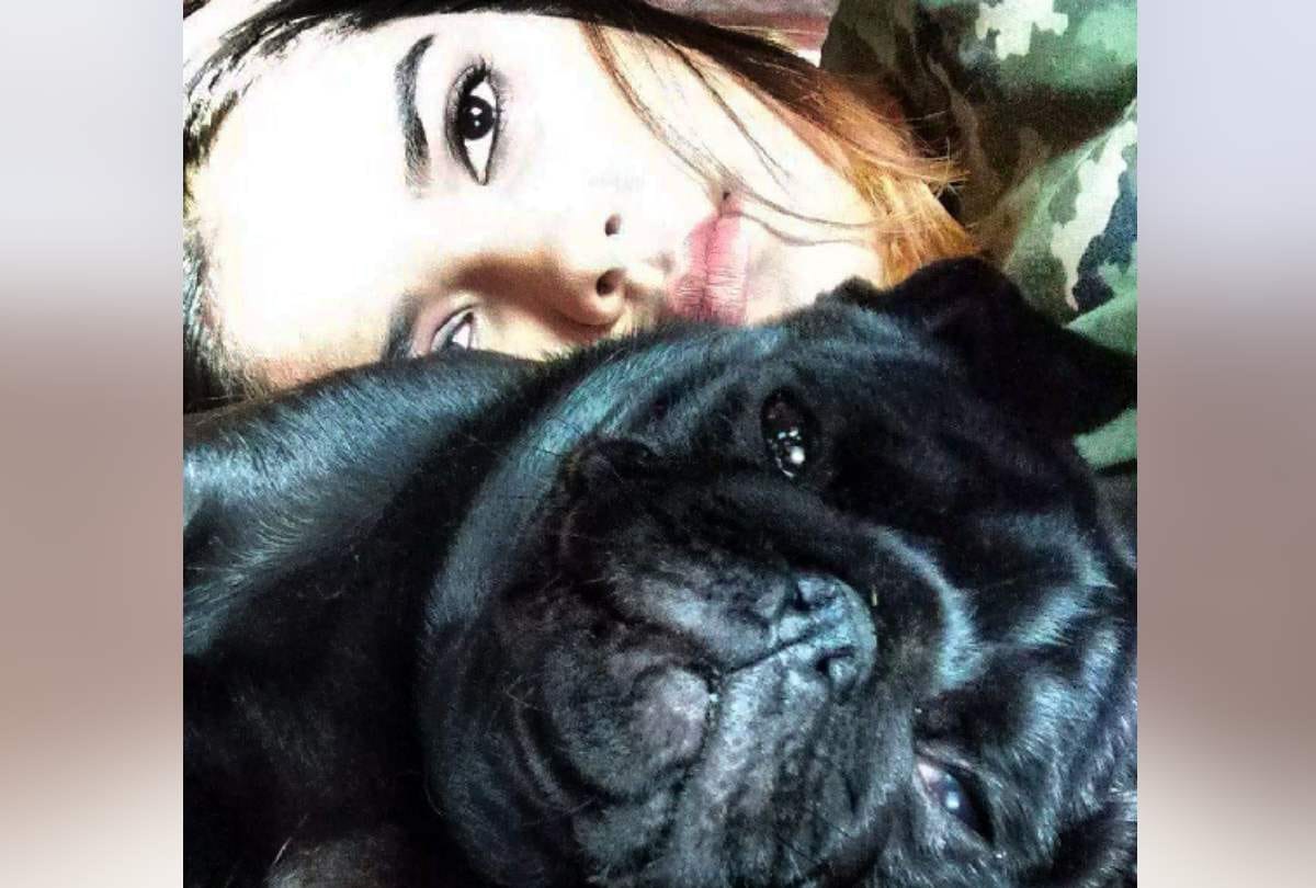 gurugram scientist murder wife daughter their 4 dogs not having food waiting owners send to shelter