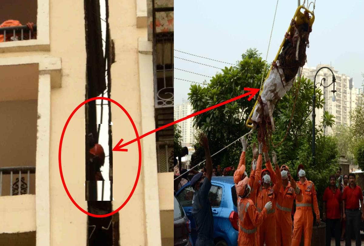 House maid Sonamuni murder case noida Amrapali Silicon city