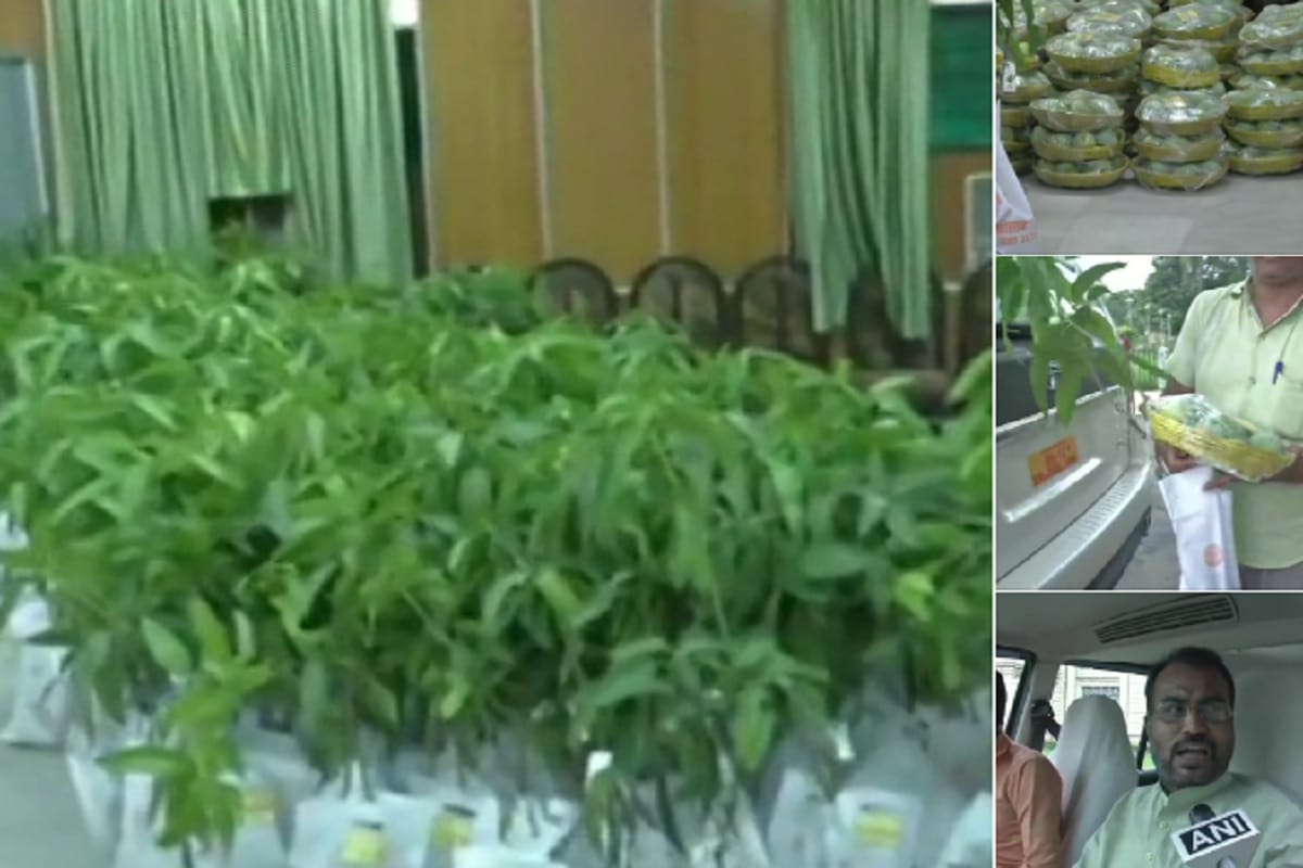 Mangoes and mango saplings distributed in Bihar assembly, Rabri Devi attacks on Nitish Kumar