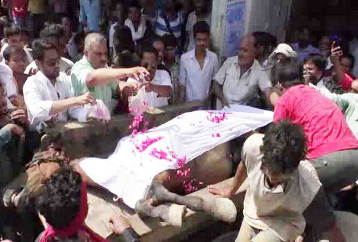 horse death due to electric current