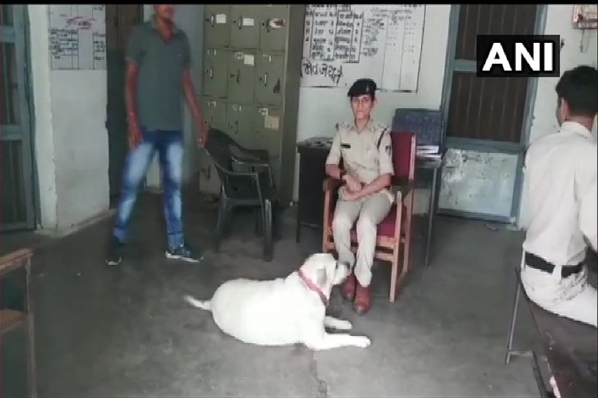 Sagar Police is taking care of dog Sultan after his owners family in jail in a murder case
