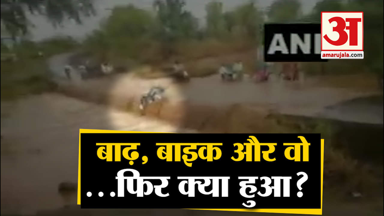 वायरल वीडियो